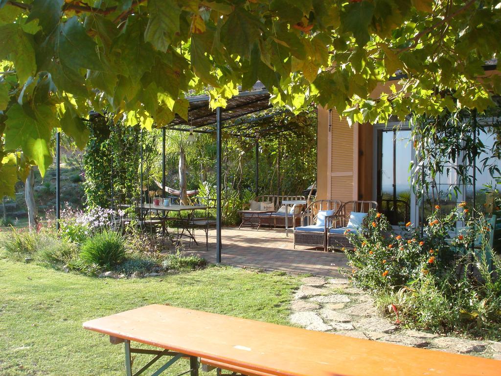 Villa House With Garden And Sea View La Londe-les-Maures Habitación foto