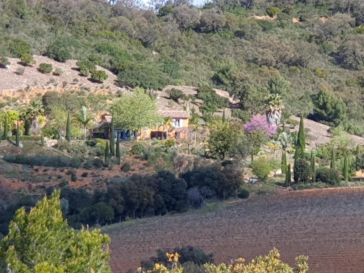 Villa House With Garden And Sea View La Londe-les-Maures Exterior foto