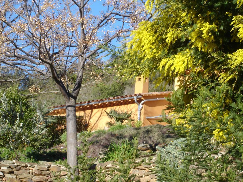 Villa House With Garden And Sea View La Londe-les-Maures Habitación foto