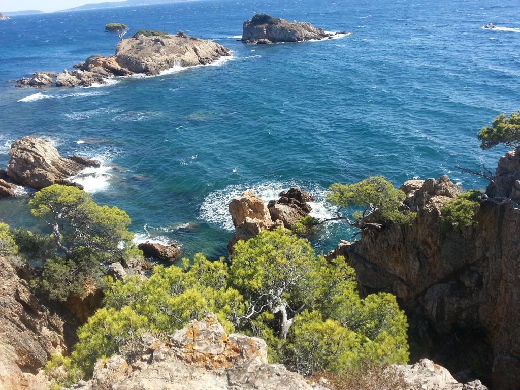 Villa House With Garden And Sea View La Londe-les-Maures Exterior foto