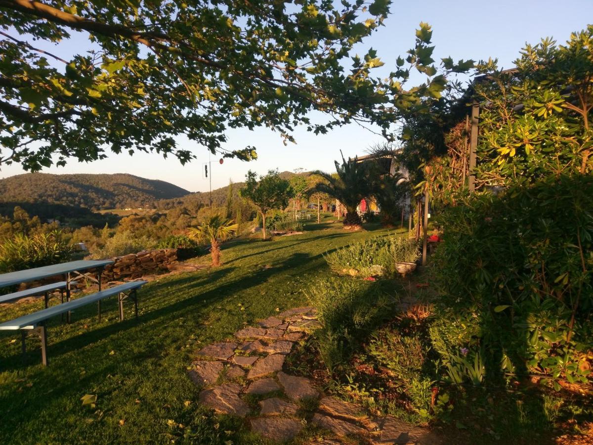 Villa House With Garden And Sea View La Londe-les-Maures Exterior foto